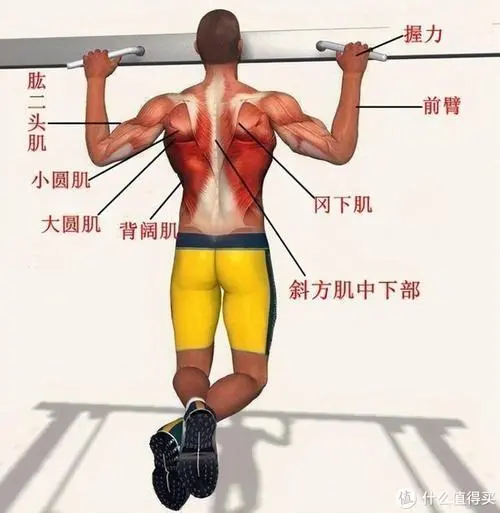普通乒乓球台多宽